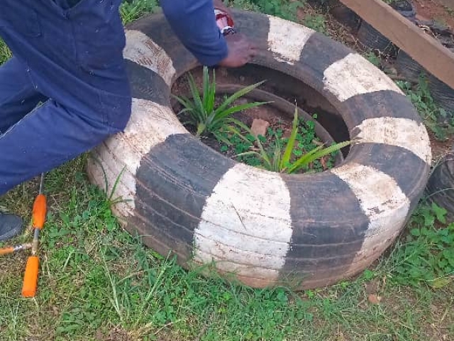 applying larvicide in mosquito breeding site